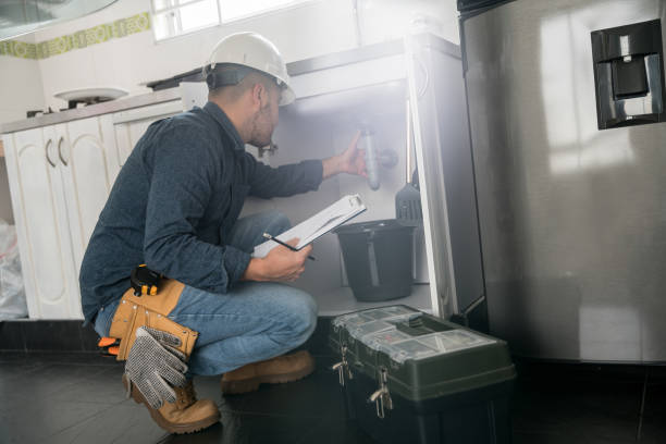 Best Plumbing Services Near Me  in Mertzon, TX